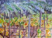 Landscape - Vineyard III - Watercolor On Paper