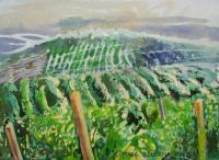 Landscape - Vineyard I - Watercolor On Paper